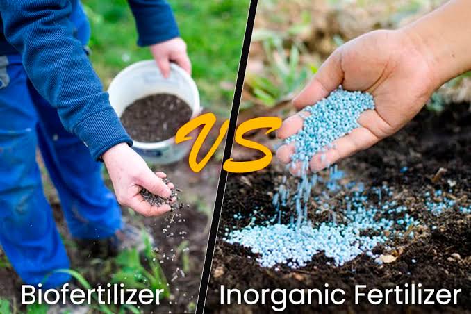 chemcial fertilizers. 