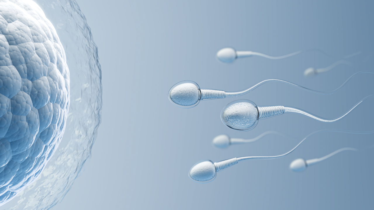 🔥 Struggling with Low Sperm Count or Performance Issues? Here’s the Natural Solution That Works!