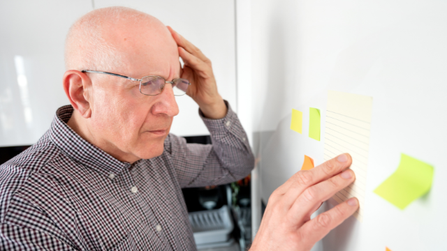 🧠 Always Forgetful? Struggling to Focus? Here’s the Natural Way to Sharpen Your Brain!